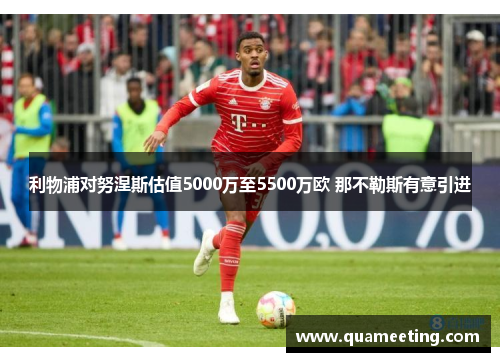 利物浦对努涅斯估值5000万至5500万欧 那不勒斯有意引进 利物浦对努涅斯估值5000万至5500万欧 那不勒斯有意引进
