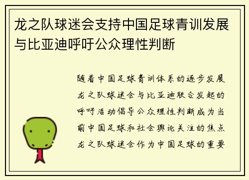 龙之队球迷会支持中国足球青训发展与比亚迪呼吁公众理性判断 龙之队球迷会支持中国足球青训发展与比亚迪呼吁公众理性判断