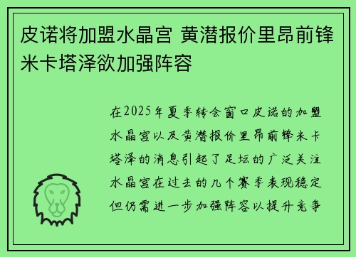 皮诺将加盟水晶宫 黄潜报价里昂前锋米卡塔泽欲加强阵容 皮诺将加盟水晶宫 黄潜报价里昂前锋米卡塔泽欲加强阵容